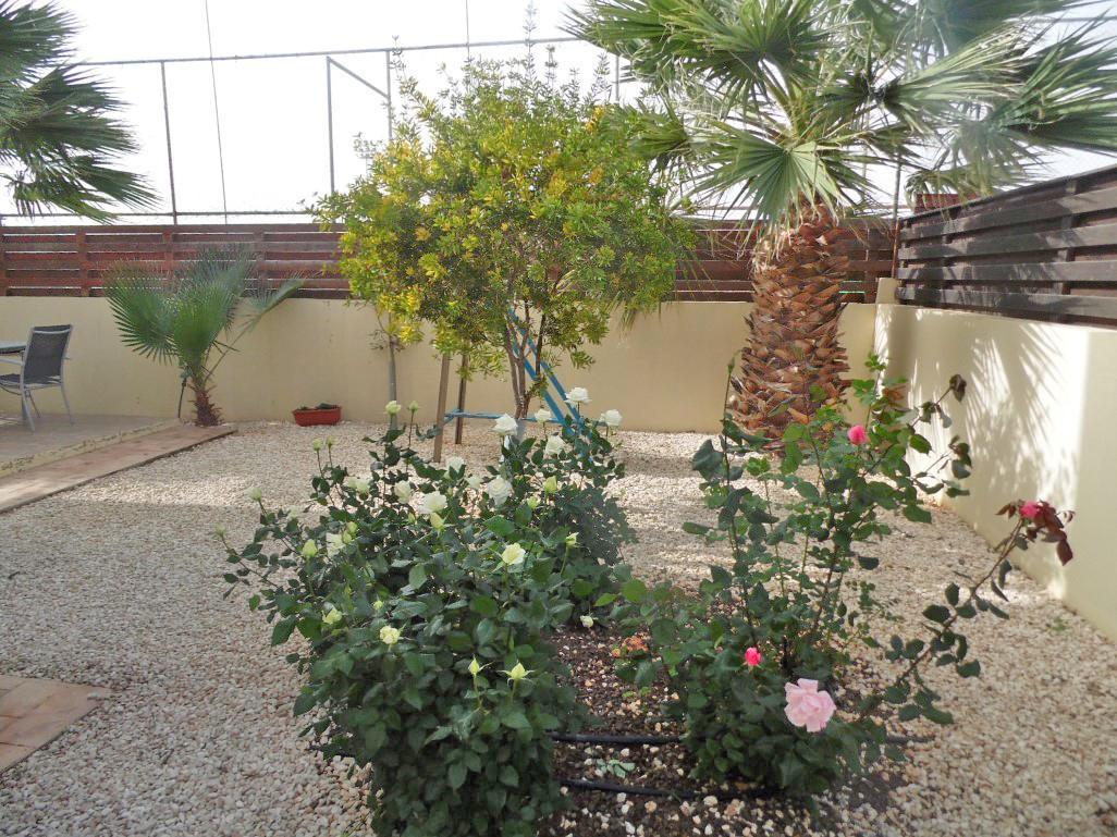 Villa Favor - 3 Bed With Pool Close To Nissi Beach Ayia Napa Exterior foto